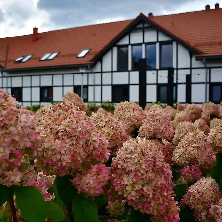 Chata Mazurskie Centrum Rehabilitacji-debowa Gora *